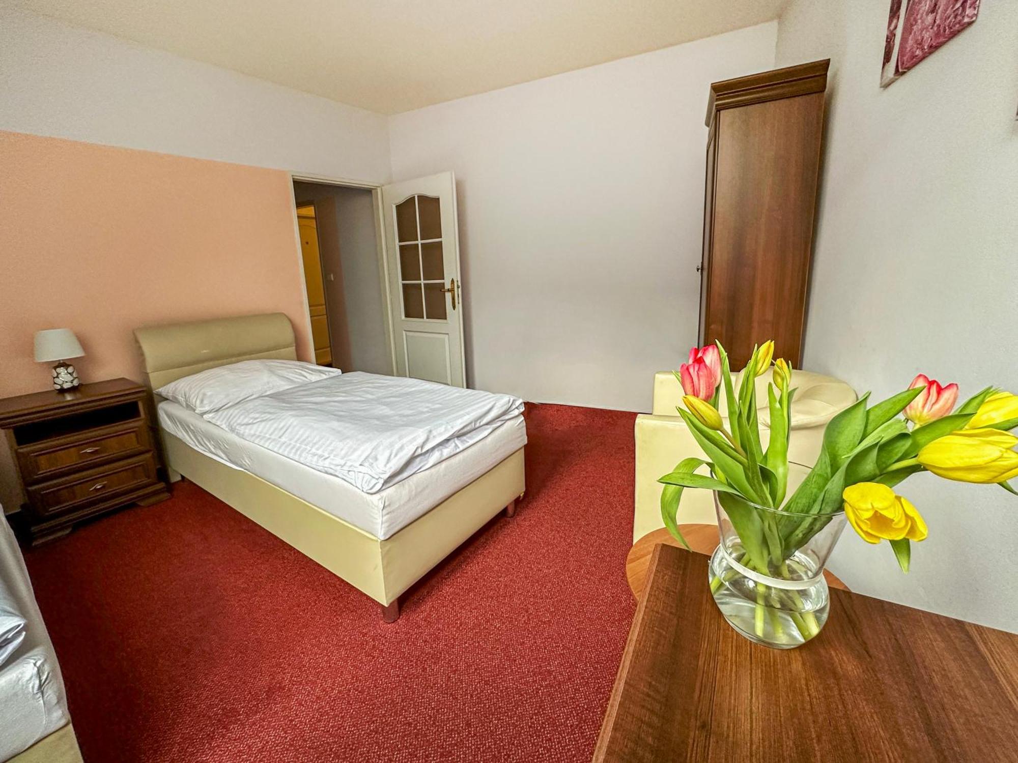 Hotel Ruzek Хранице Екстериор снимка
