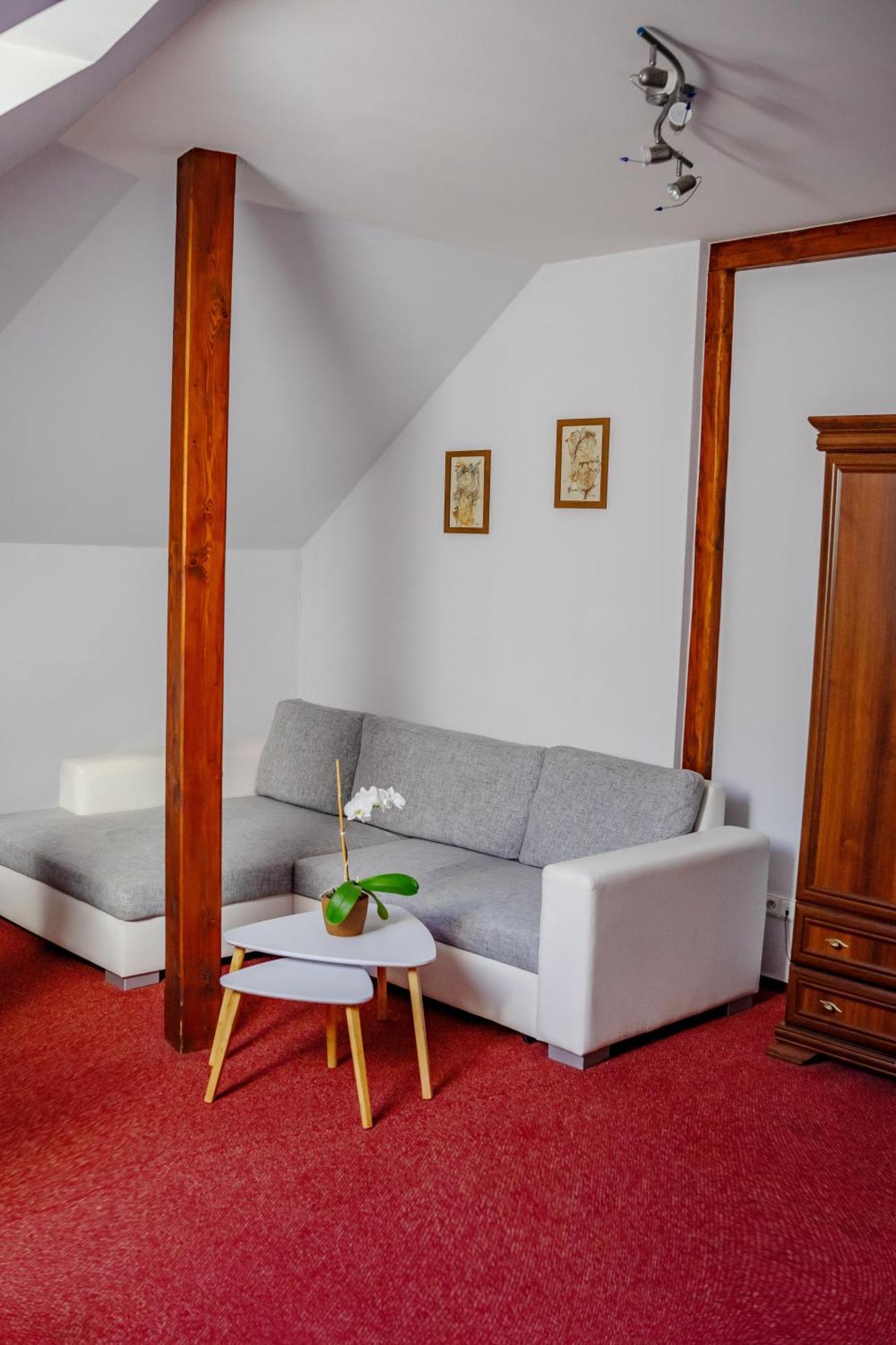 Hotel Ruzek Хранице Екстериор снимка