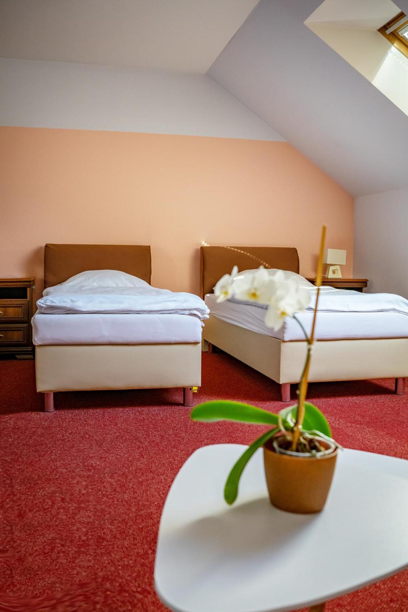 Hotel Ruzek Хранице Екстериор снимка